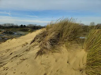 Oostnieuwkerke duinen wandeling in de koude (België)